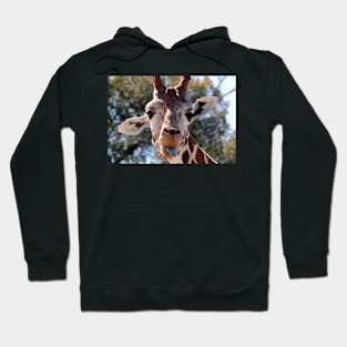 Giraffe Hoodie